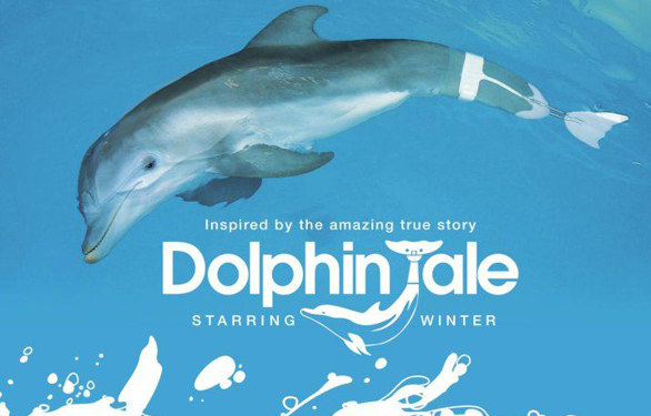 Dylan's Winter | Winter the Dolphin | Cleawater Marine Aquarium